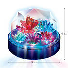 Набір для вирощування кристалів 4M із підсвіткою, фото 8