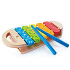 Дерев'яний ксилофон Hape Веселка, фото 2