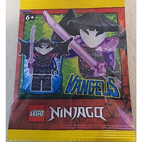 Бумажный пакет с фигуркой LEGO Ninjago Vangelis (892303)