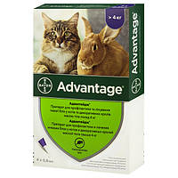 Капли от блох Bayer Advantage 80 для котов свыше 4 кг 0,8 мл (4007221046394) TV, код: 7892869
