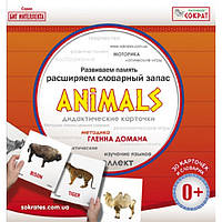 Карточки Домана "ANIMALS" мини, англ