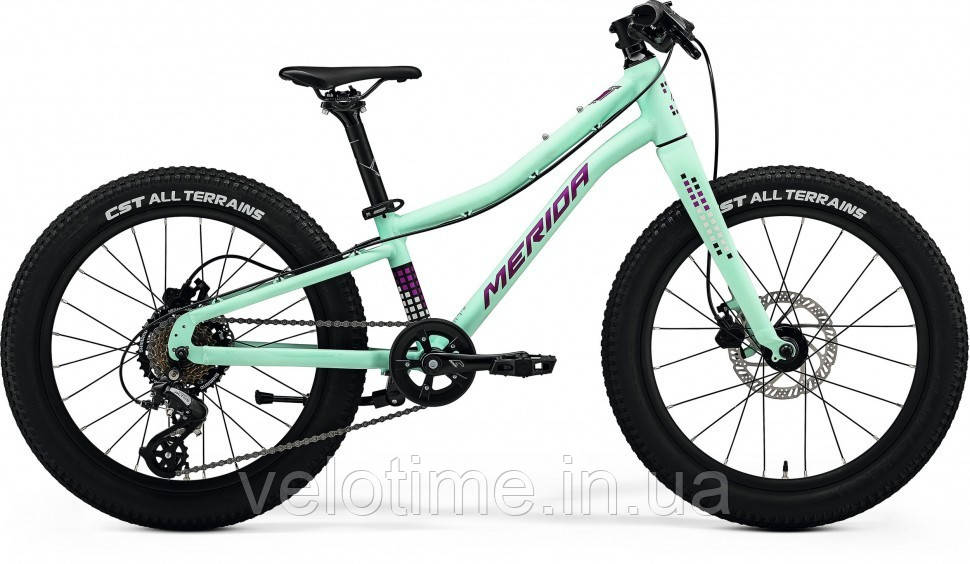 Merida Matts J.20+ 2024 (MATT MINT(PURPLE-WHT-BLK))