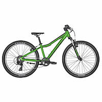 Scott Scale 24 2024 ()