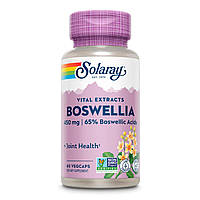 Boswellia Resin Extract 450mg - 60 vcaps