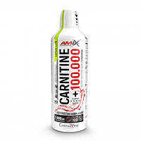 Жиросжигатель для спорта Amix Nutrition Carnitine 100.000 mg CarniZone 1000 ml 100 servings LW, код: 7803222