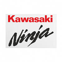Металлическая табличка Kawasaki Ninja