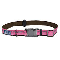Светоотражающий ошейник для собак Coastal K9 Explorer Collar 2.5х46-66см розовый (76484369414 GT, код: 7721062