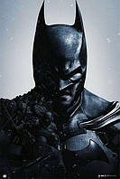 Batman - Arkham Origins (Poster)