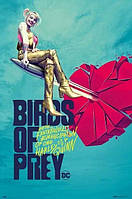 Birds Of Prey - Broken Heart (Постер)