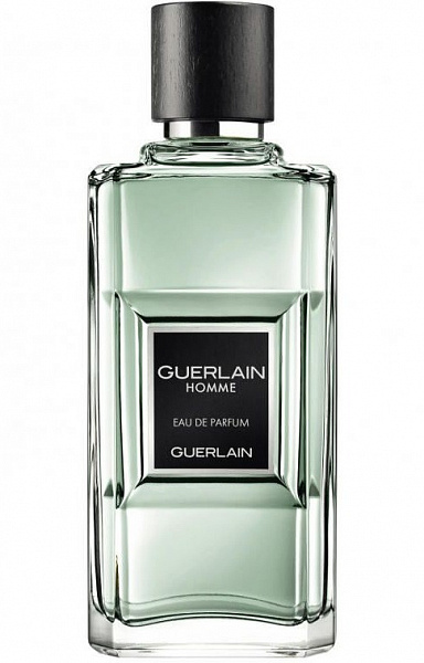 Парфумована вода Guerlain Homme EDP для чоловіків — edp 100 ml tester