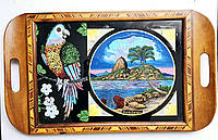 Винтажный деревянный Поднос Попугай со стеклянной мозаика Рио-де-Жанейро