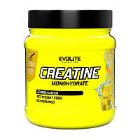 Креатин Моногідрат 500грам (100порцій) Creatine Monohydrate від Evolite Nutrition