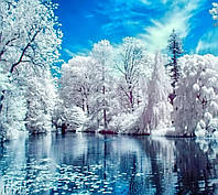 Набір алмазної вишивки (мозаїки) пейзаж "Зимове озеро"