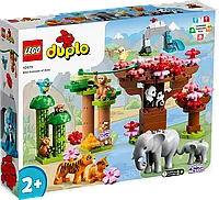 LEGO Duplо Дикие животные Азии 10974