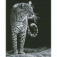 Алмазная мозаика Ночной охотник Идейка AMO7538 40х50 Игрушки Xata