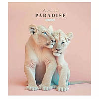Тетрадь общая Love in paradise 036-3256L-5 в линию 36 Игрушки Xata