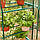 Теплиця парник для саду, балкону та городу 69x50x195см М85005 (5 полок), фото 5