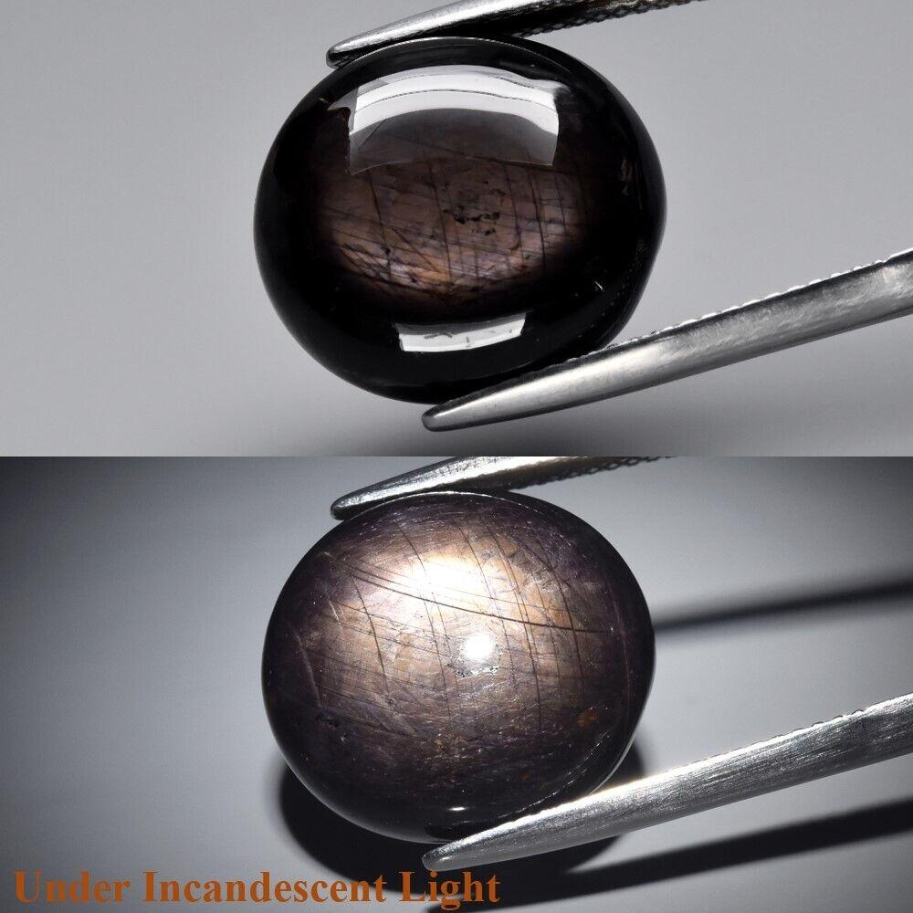Зірчастий чорний сапфір 20.76 Ct 16x14,5 мм
