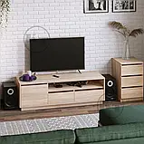 Кельн тумба ТВ (Компаніт) 1400х420х430мм, фото 10