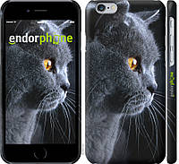 Пластиковый чехол Endorphone на iPhone 6 Красивый кот (3038m-45-26985) EJ, код: 1390770