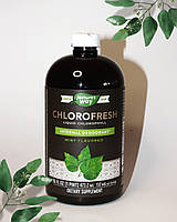 Nature's Way, Chlorofresh, рідкий хлорофіл, зі смаком м яти, 132 мг, 480 мл