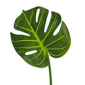 Лист "Монстера", 62 см ELISEY