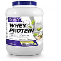 Протеин OstroVit Whey Protein 2000 g /66 servings/ Pistachio Cream z118-2024