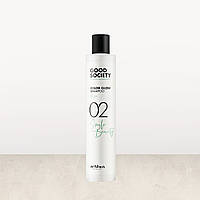 Шампунь для окрашенных волос Artego Good Society Color Glow 02 Shampoo 250 мл
