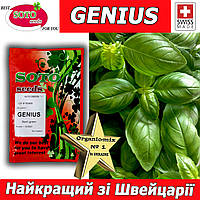 Базилік зелений ГЕНІУС / GENIUS, ТМ Soto Seeds (Швейцарія), 100 грам, проф. пакет