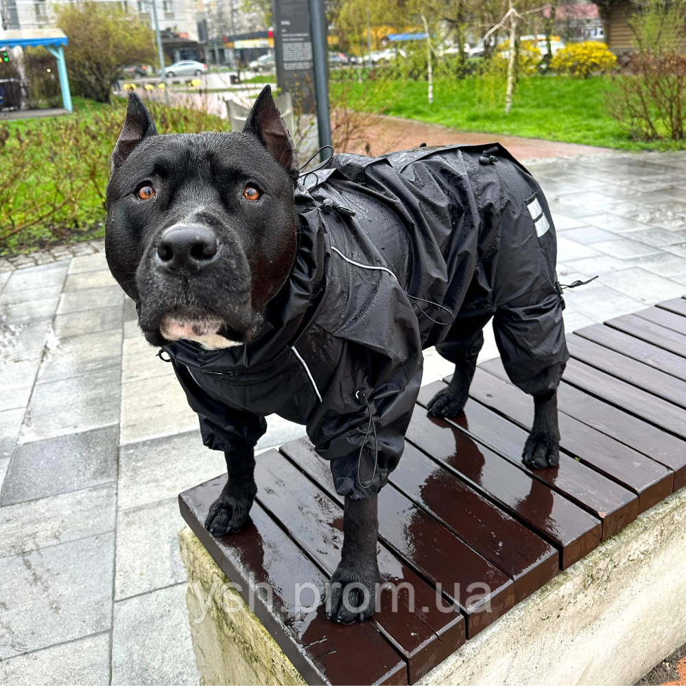 Одяг для Собак. Теплий Комбінезон водостійкий + фліс. Для собак великих і середніх порід. Hunter black MS - фото 2 - id-p2190846875