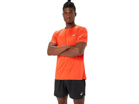 Футболка для спорту чоловіча Asics Icon Ss Top 2011C734-600, фото 1