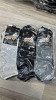 Шкарпетки чоловічі демісезонні однотонні бавовняні розмір 41-47 (1уп-10 пар) кольору міксом
