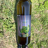 Питний мед Ківі 2023 р 750 мл, фото 2