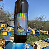 Питний мед Забрусний 2023 р 750 мл, фото 3