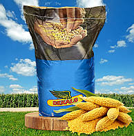Семена кукурузы ДКС 4590 WX ФАО 360 Dekalb Monsanto (Монсанто)