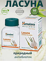 Ласуна, Lasuna Himalay Природный Антибиотик, при атеросклерозе, гиперхолестеринемии, метеоризм, вздутие живота