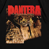 Футболка з принтом Pantera The Great Southern Trendkill L Чорний, фото 3