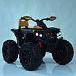 Дитячий електромобіль квадроцикл з пультом Bambi Racer M 4795EBLR-6 (MP3, SD, USB, мотори 4x45W, акумулятор 12V14AH), фото 10