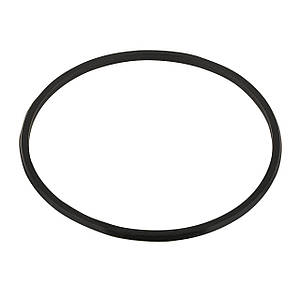 Гумка ущільнювальна під муфту накидну для насосів Emaux серії SS/SD (2011104)