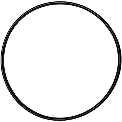 Гумова прокладка під 6-позиційний кран фільтрів Emaux V350 — V700 (02011134), фото 1