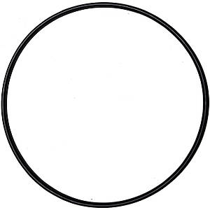 Гумова прокладка під 6-позиційний кран фільтрів Emaux V350 — V700 (02011134)