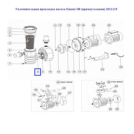 Ущільнювальна прокладка насоса Emaux SB (прямокутна) 2011115, фото 2