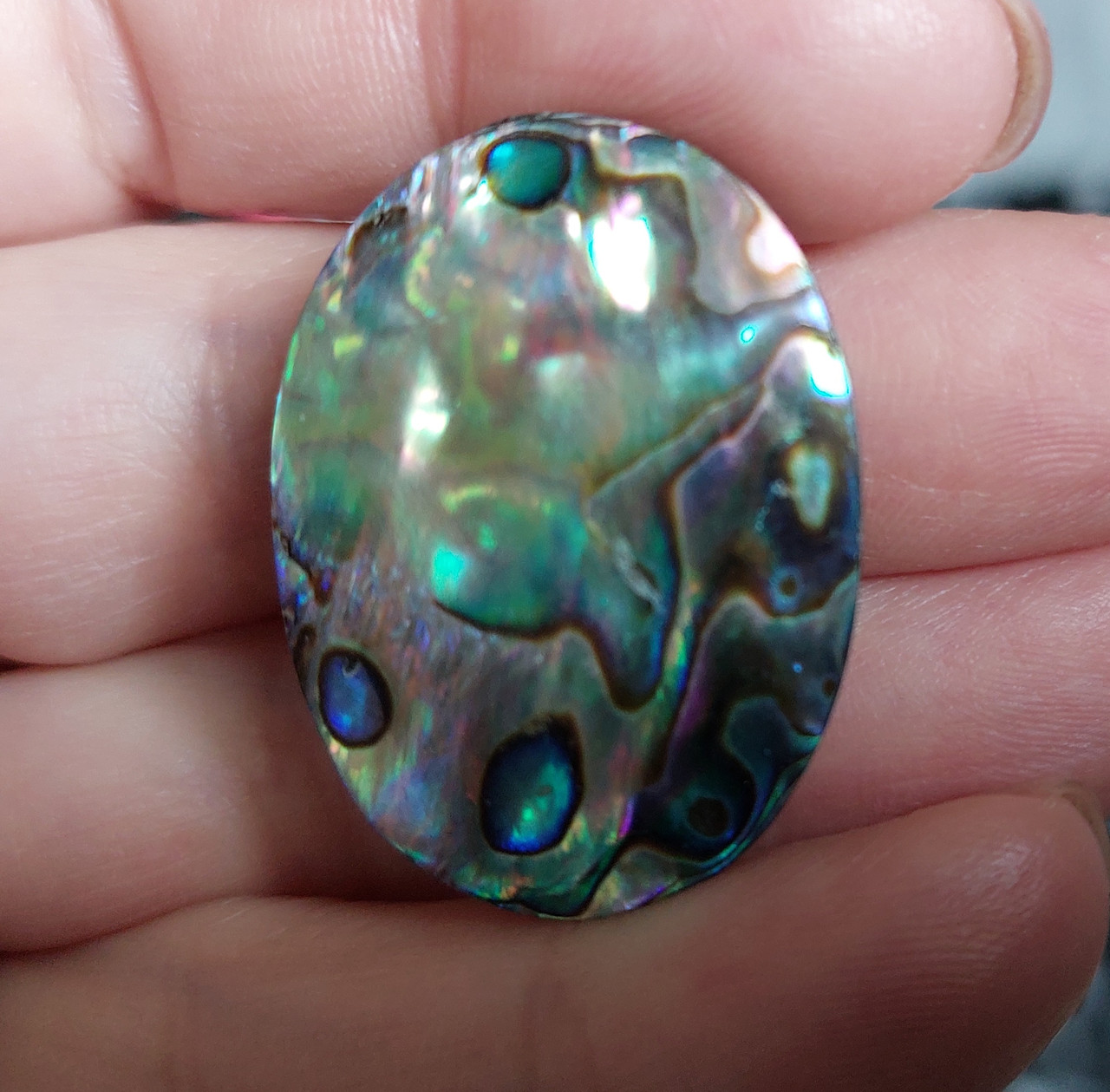 Абалон 48.25Ct