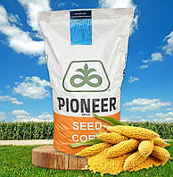 Да Сонка, ФАО 350, насіння кукурудзи Pioneer (Піонер)