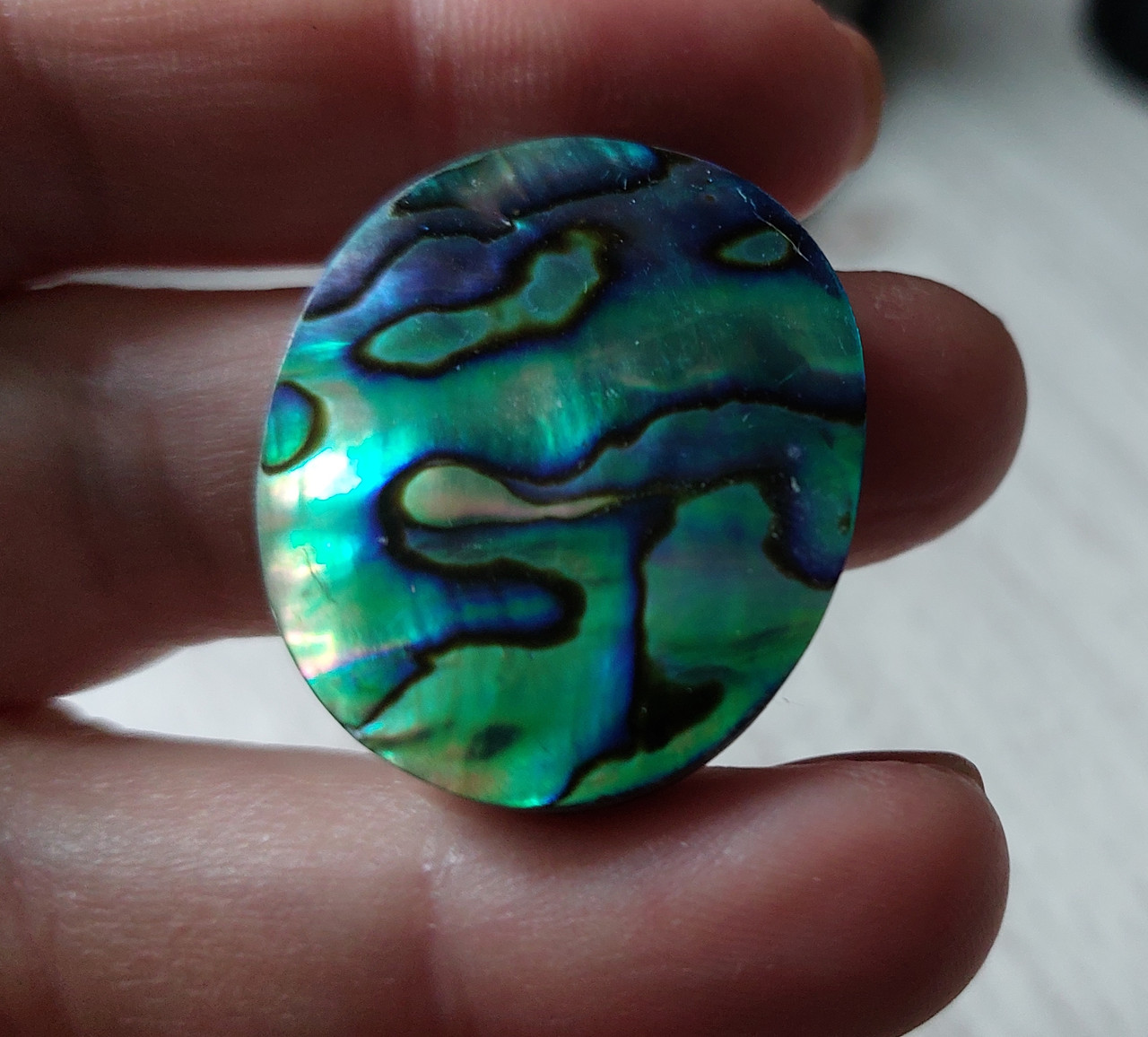 Абалон 49.4 Ct