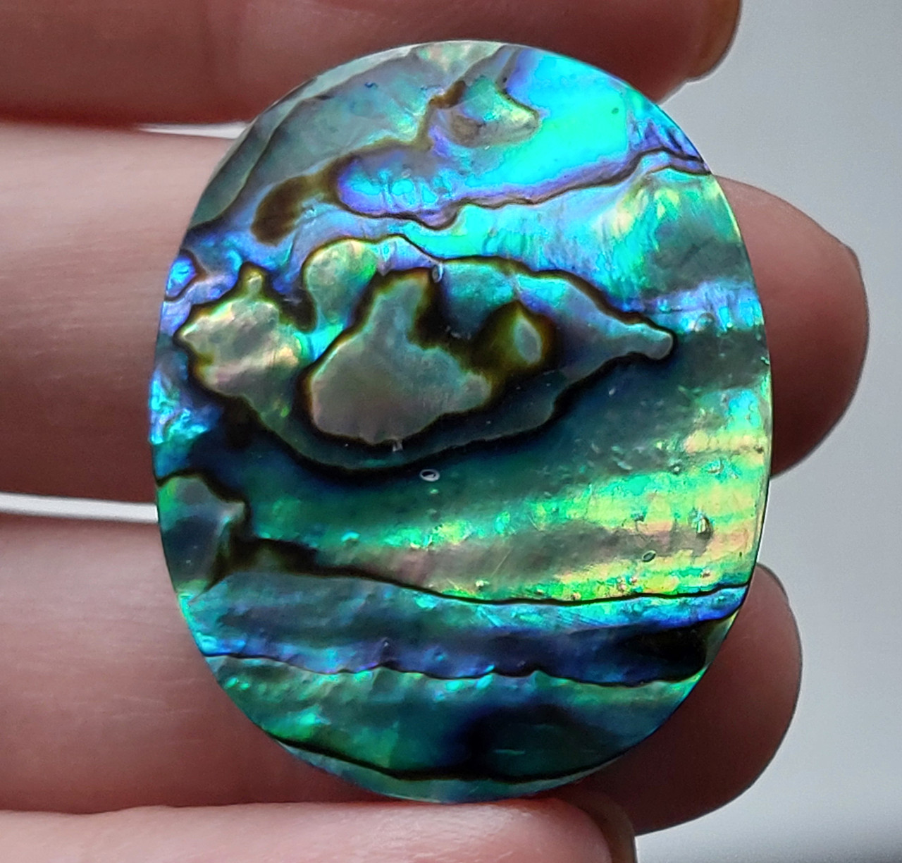 Абалон 52.2 Ct, фото 1