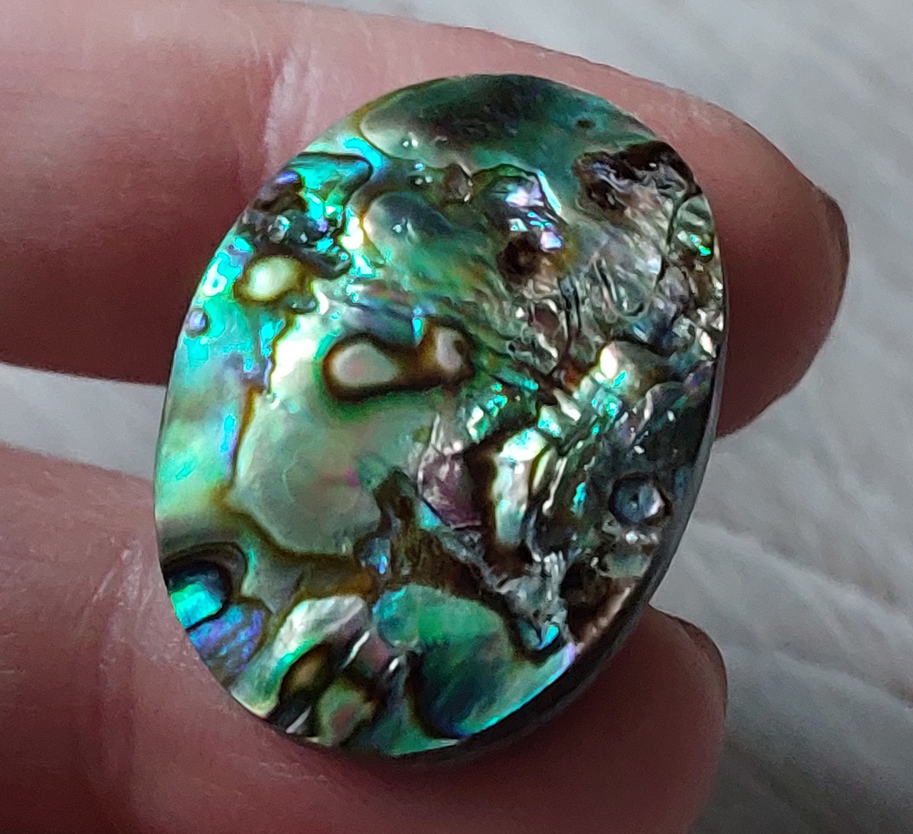 Абалон 39.3Ct