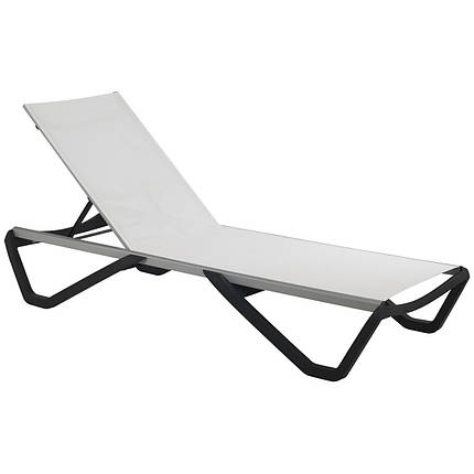 Шезлонг Aquaviva Wave білий із чорним, фото 1