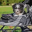 Коляска для собак Ferplast Globetrotter, фото 9