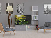 Меблева стінка AFINA Білий/Моноліт